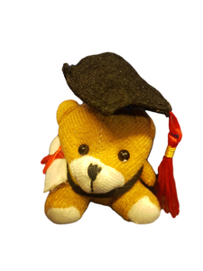 SMALL FUR BROWN COLLEGE UNIVERSITY GRADUATION TEDDY BEAR WITH DIPLOMA GIFT IDEA