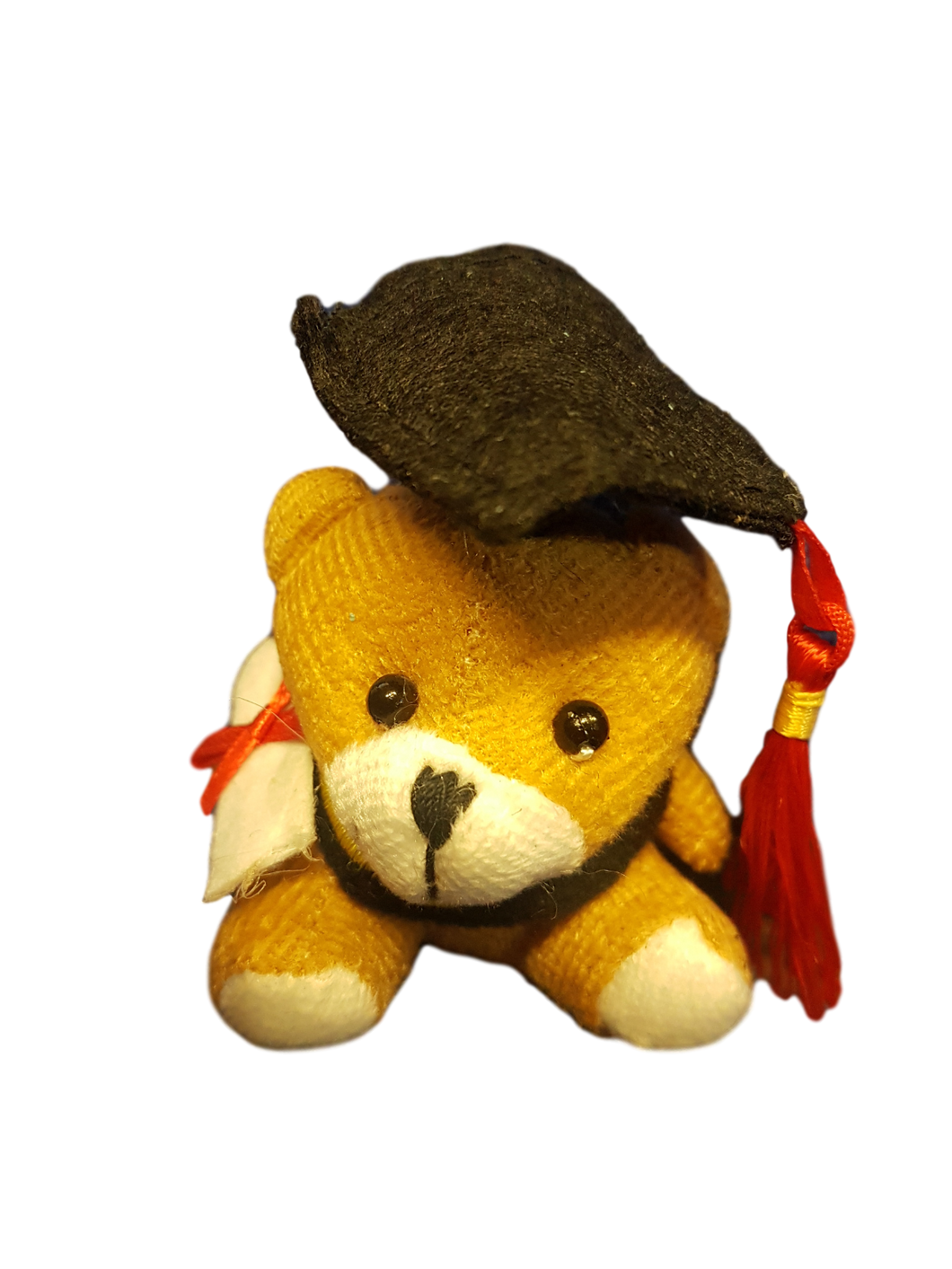 SMALL FUR BROWN COLLEGE UNIVERSITY GRADUATION TEDDY BEAR WITH DIPLOMA GIFT IDEA