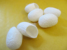 Load image into Gallery viewer, Cosmetic Facial finger tip scrub exfoliator natural product insect nest UKSeller
