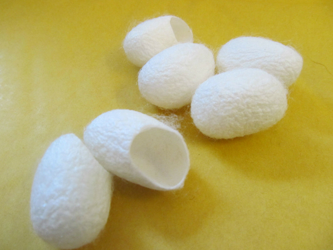 Cosmetic Facial finger tip scrub exfoliator natural product insect nest UKSeller