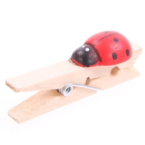 Small Wooden Ladybird Peg Clips Set of 12