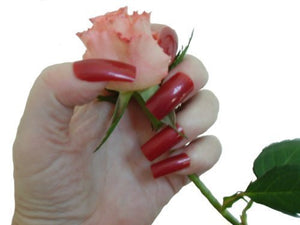 Long Dark Red Full Cover False Nails from Pink-Candy - 500