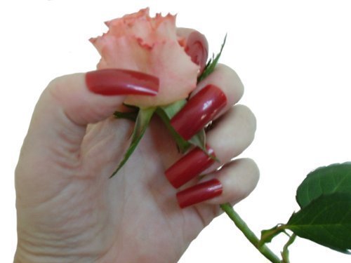 Long Dark Red Full Cover False Nails from Pink-Candy - 500